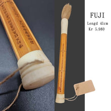 Load image into Gallery viewer, Vintage Risa Calligraphy Penslar