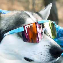 Load image into Gallery viewer, Sólgleraugu Barna