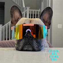 Load image into Gallery viewer, Sólgleraugu Barna