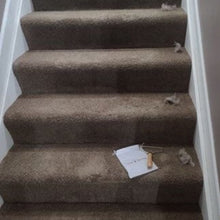 Load image into Gallery viewer, Dýrahára-skafan