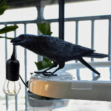 Load image into Gallery viewer, Poe Fuglalampi
