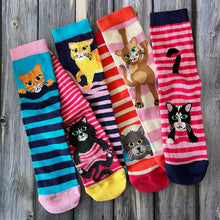 Load image into Gallery viewer, Feline Good Kisu Sokkar St 37-42
