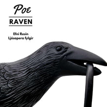 Load image into Gallery viewer, Poe Fuglalampi
