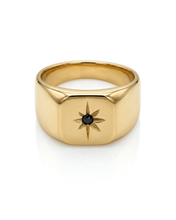 Load image into Gallery viewer, Black Star Hringur
