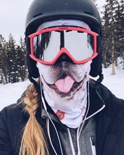 Load image into Gallery viewer, Lambhúshetta Pug
