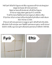 Load image into Gallery viewer, Fúgupenninn
