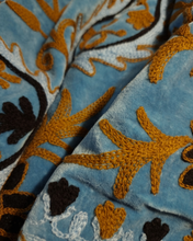 Load image into Gallery viewer, Meliana Velvet Jakki Sky Blue
