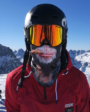 Load image into Gallery viewer, Lambhúshetta Smoking Monkey
