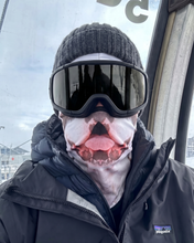 Load image into Gallery viewer, Lambhúshetta Bulldog
