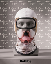 Load image into Gallery viewer, Lambhúshetta Bulldog
