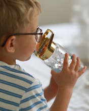 Load image into Gallery viewer, Lína Langsokkur Birthday Brúsi 550ml
