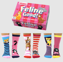 Load image into Gallery viewer, Feline Good Kisu Sokkar St 37-42

