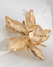Load image into Gallery viewer, Lilium Hringur
