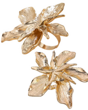 Load image into Gallery viewer, Lilium Hringur

