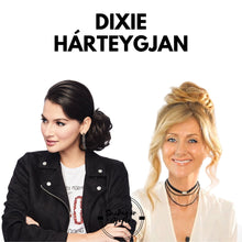 Load image into Gallery viewer, Dixie Hárteygjan
