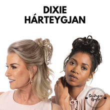 Load image into Gallery viewer, Dixie Hárteygjan
