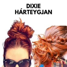 Load image into Gallery viewer, Dixie Hárteygjan

