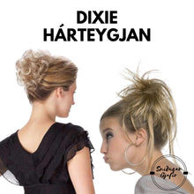 Load image into Gallery viewer, Dixie Hárteygjan
