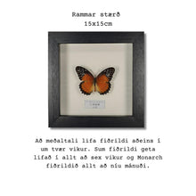 Load image into Gallery viewer, Fiðrildi í ramma
