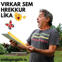 Load image into Gallery viewer, Fljúgandi Fiðrildið
