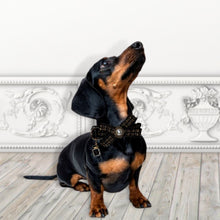 Load image into Gallery viewer, Coco hunda/kattaól
