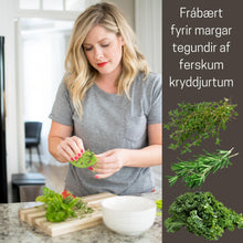 Load image into Gallery viewer, Kryddjurtaskafan
