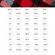 Load image into Gallery viewer, Flannel Skyrtur
