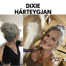 Load image into Gallery viewer, Dixie Hárteygjan
