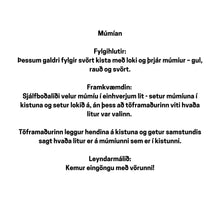 Load image into Gallery viewer, Múmían
